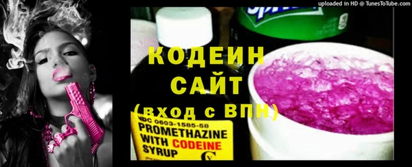 сатива Богородицк