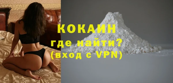 PSILOCYBIN Богданович