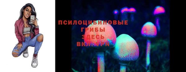 PSILOCYBIN Богданович