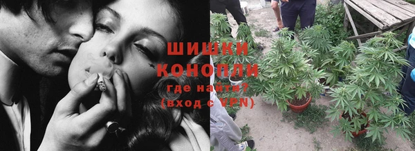 сатива Богородицк