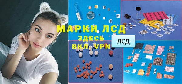 PSILOCYBIN Богданович