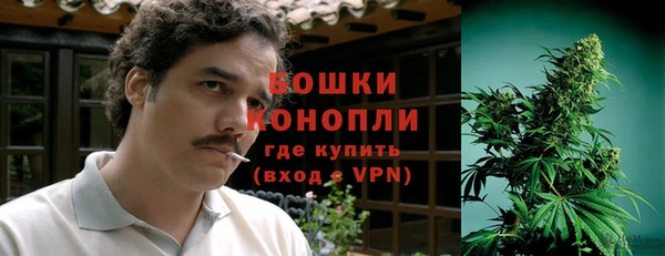 PSILOCYBIN Богданович