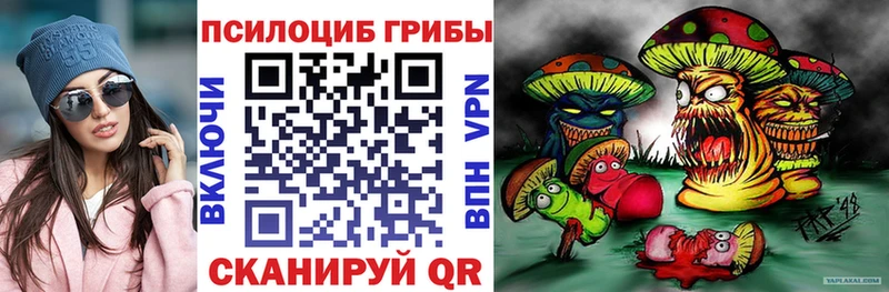 Псилоцибиновые грибы Psilocybe  KRAKEN сайт  Безенчук 